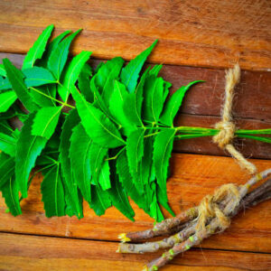 Neem