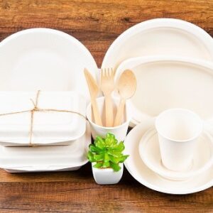 Bagasse Cutlery Sets