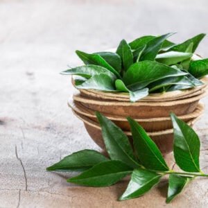 Curry Leaves (Murraya koenigii)