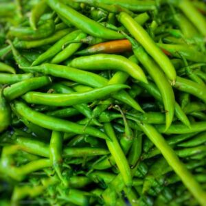 Green Chillies (Capsicum annuum/frutescens)