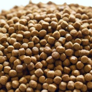 Prawn and Shrimp Feed