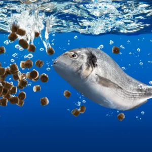 Functional Aquafeed Additives